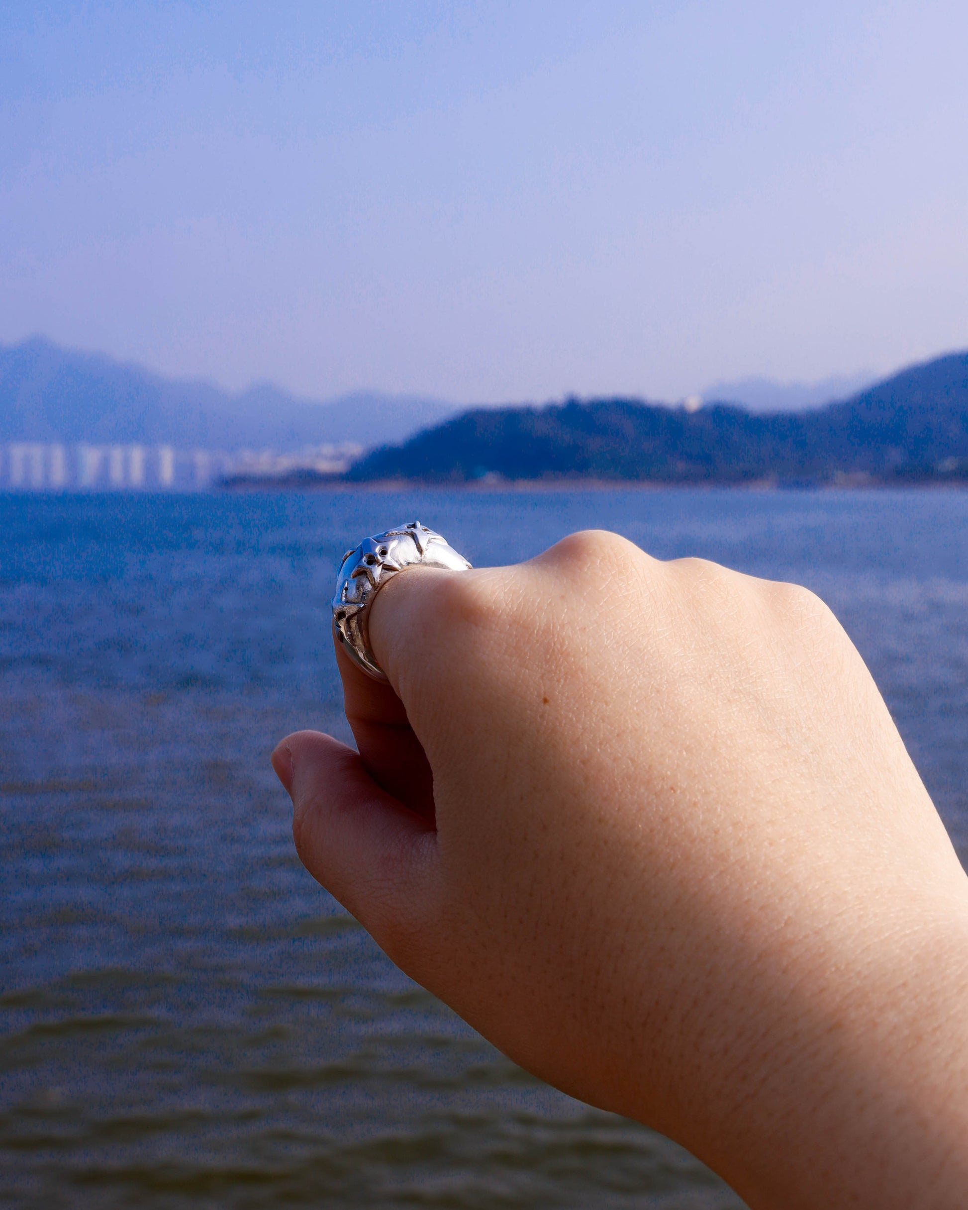A Puke Of Stars Ring, a solid sterling silver ring with stars design on the signet ring