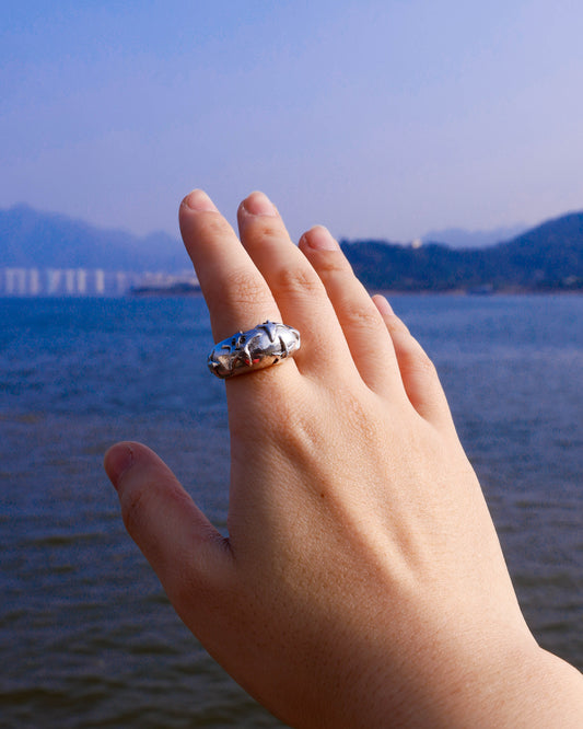 A Puke Of Stars Ring, a solid sterling silver ring with stars design on the signet ring