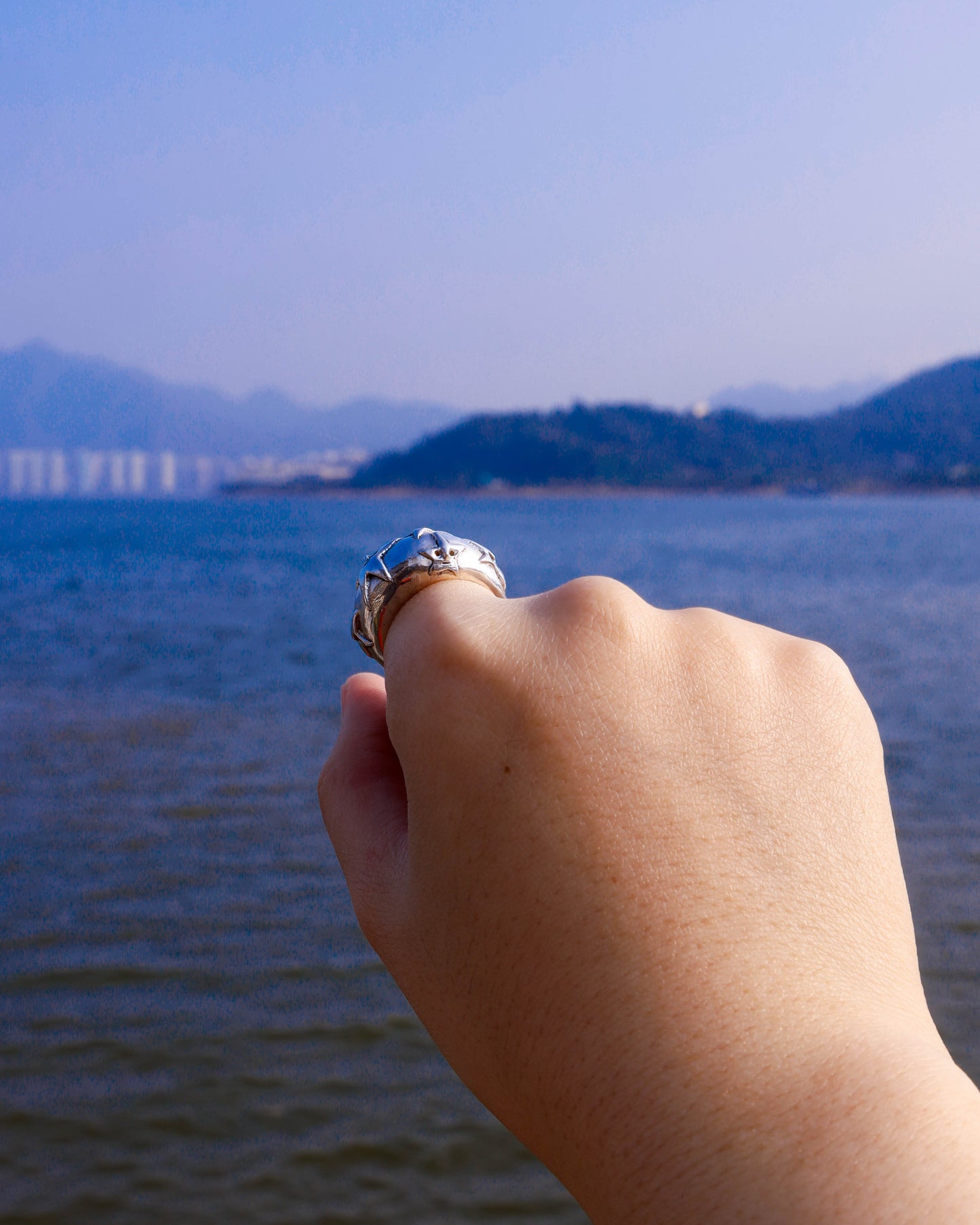 A Puke Of Stars Ring, a solid sterling silver ring with stars design on the signet ring