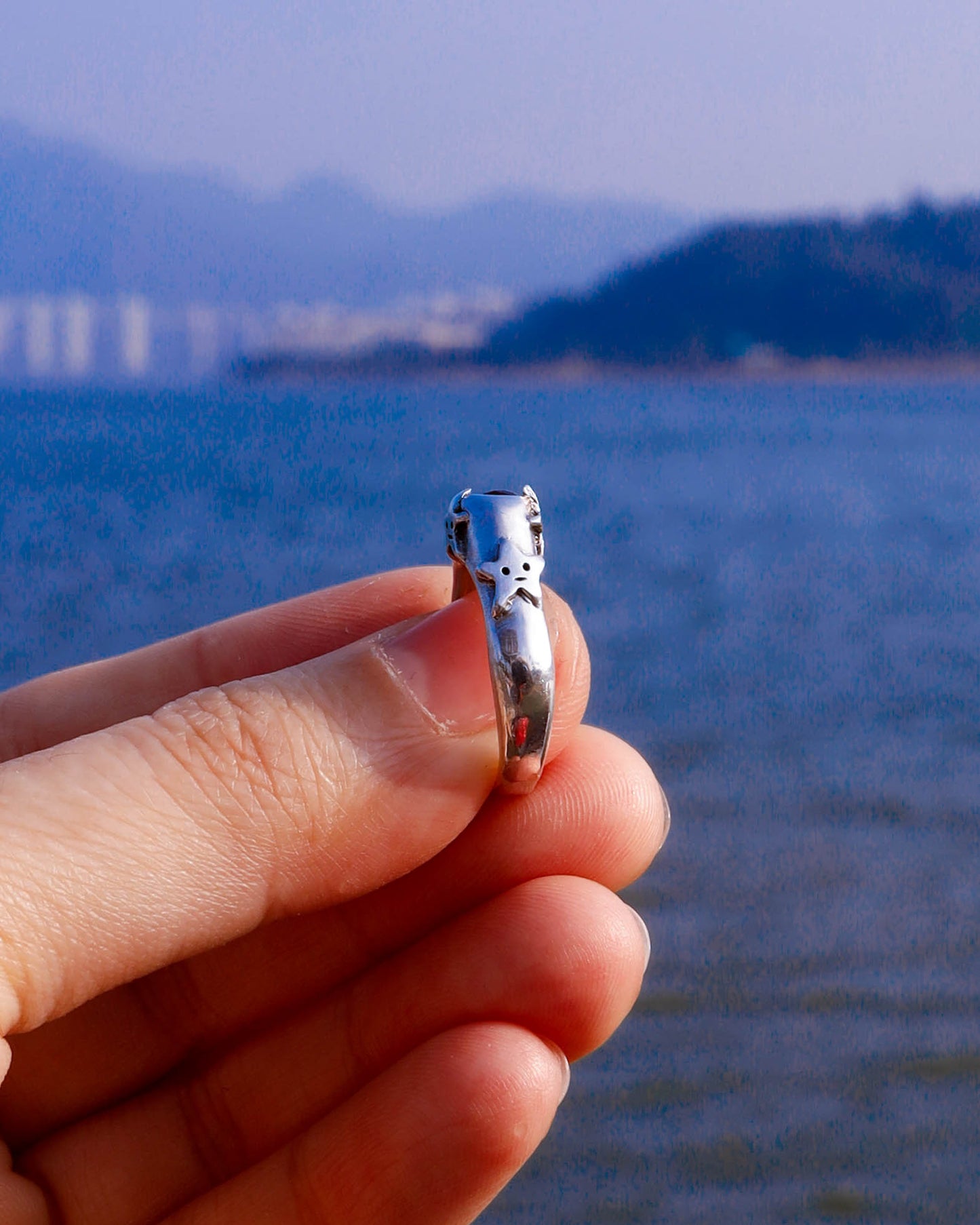 four stars sterling silver ring with a red garnet